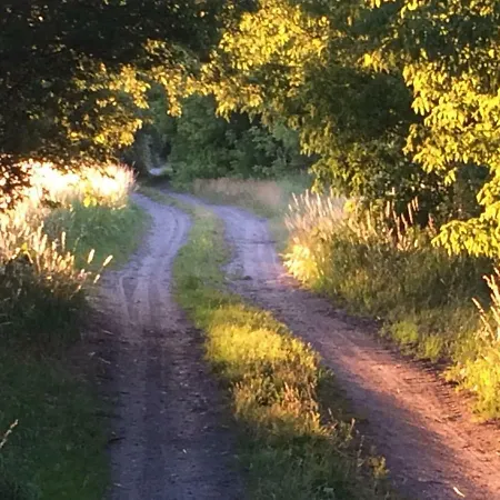 Kranichhof - Studio, Loft & Atelier Zossen