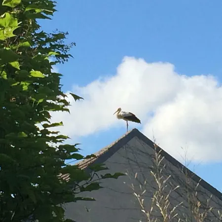 Kranichhof - Studio, Loft & Atelier Appartement *