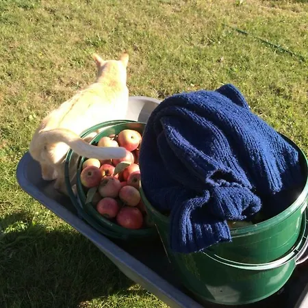 Kranichhof - Studio, Loft & Atelier *