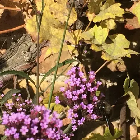 Apartment Kranichhof - Studio, Loft & Atelier