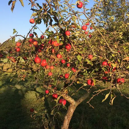 Kranichhof - Studio, Loft & Atelier Apartment Zossen