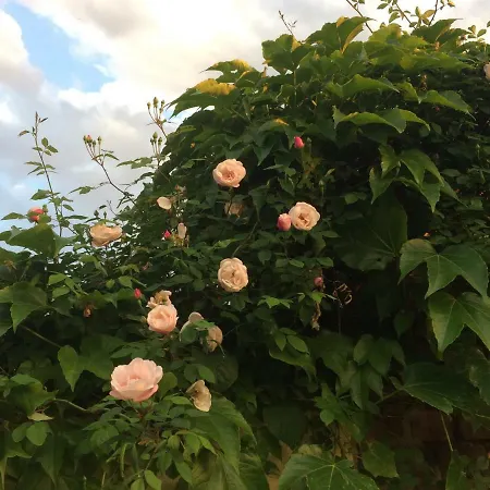 Kranichhof - Studio, Loft & Atelier Zossen