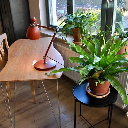 Kranichhof - Studio, Loft & Atelier Lejlighed *