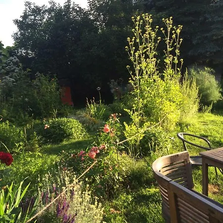 Kranichhof - Studio, Loft & Atelier Appartement *