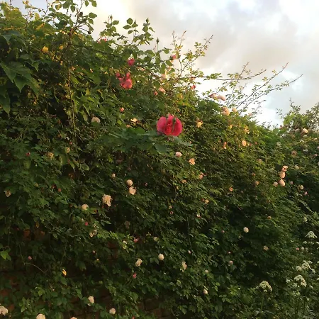 Apartment Kranichhof - Studio, Loft & Atelier Zossen