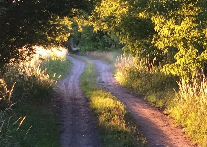 Kranichhof - Studio, Loft & Atelier Zossen