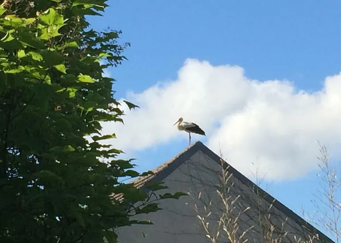 Kranichhof - Studio, Loft & Atelier Lägenhet *