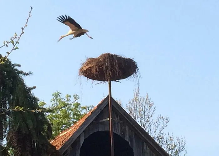 Kranichhof - Studio, Loft & Atelier *