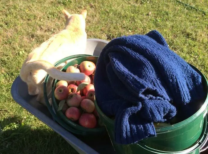 Kranichhof - Studio, Loft & Atelier *