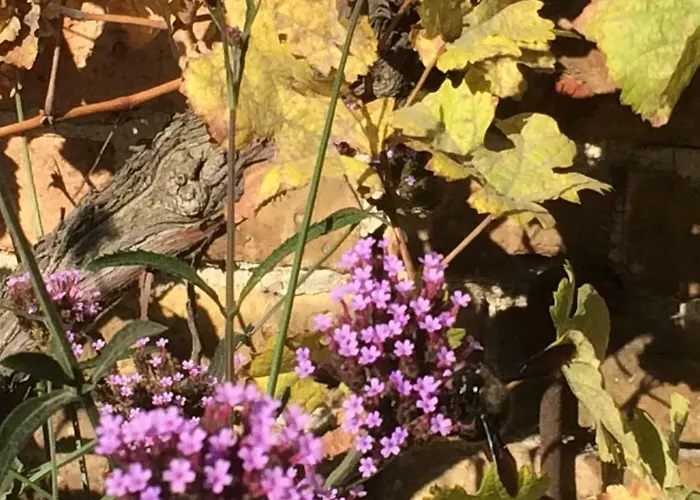 Lägenhet Kranichhof - Studio, Loft & Atelier