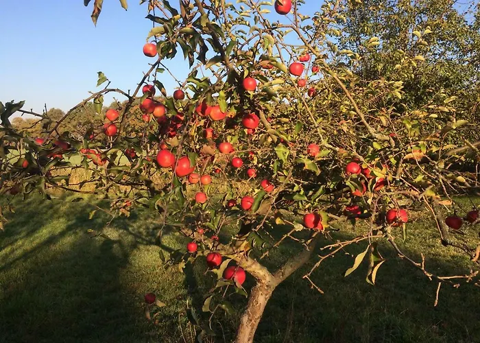 Kranichhof - Studio, Loft & Atelier Apartamento Zossen