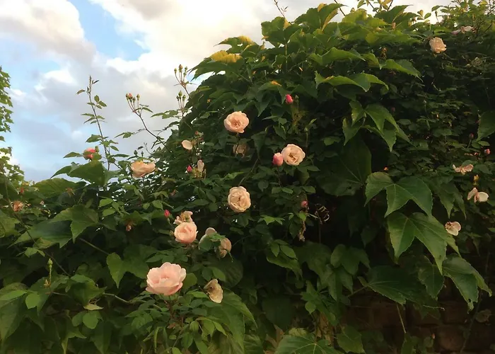 Kranichhof - Studio, Loft & Atelier Zossen