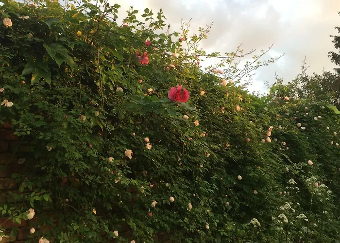 Lägenhet Kranichhof - Studio, Loft & Atelier Zossen